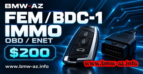 FEM/BDC-1 IMMO Soft